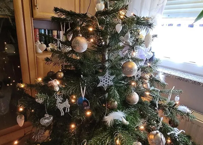 Biggy's * Зельб