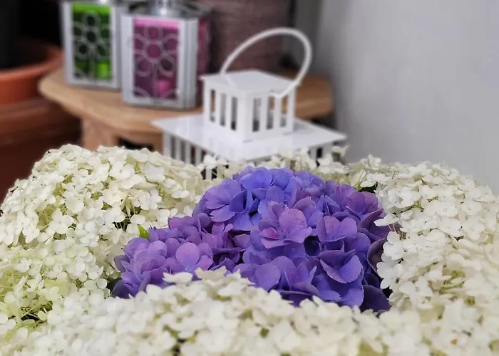 Апартаменты Biggy's *